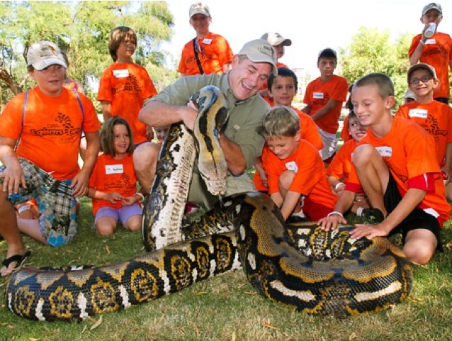世界一大きい蛇　アミメニシキヘビ2